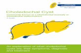 Choledochal Cyst - Childrens Liver Disease Foundation · PDF file choledochal cyst? There are several types of choledochal cyst. Their positions and sizes may differ. Type I cysts
