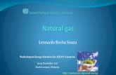 Leonardo Rocha Souza - Energy Commission · Natural gas - Introduction Natural gas can be mainly found natural in underground reservoirs that can be distinguished as: associated gas
