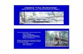 Hazard Tree Awareness - bchcalifornia.org Tree Awareness.pdf · hazard. DEFINITION: A tree is considered hazardous if it has defects that may cause a failure resulting in property