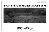 Tapir ConservaTiontapirs.org/wp-content/uploads/2017/03/Tapir-Conservation-News-Jul… · FRoM tHe eDItoR Tapir Conservation t he Newsletter of the IUCN/SSC apir Specialist Groupt