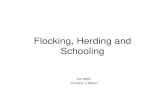 Flocking, Herding and Schooling - Freedoursat.free.fr/docs/CS790R_S05/CS790R_S05_Flocking_Schooling.pdf · Reynold’s Boids • "Boid" was an abbreviation of "birdoid", as his rules