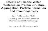 Effects of Silicone-Water Interfaces on Protein Structure ......and Colloidal Stability Native protein Transition state or aggregation competent species Structural changes Assembly