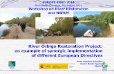 River Órbigo Restoration Project: an example of synergic ......•Altitude range: 1,584 m •Regime: rainfall-snowfall •Average discharge under the natural ... Revegetation with