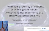 The Imaging Journey of Patients with Malignant Pleural ... · • Imaging features of malignant pleural mesothelioma (MPM), from presentation to palliation • Optimum CT imaging