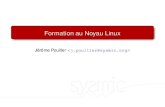 Formation au Noyau Linux - sysmic.orgsysmic.org/pub/Formation Noyau/plain/Sysmic - J...Les BSP Obtenir le noyau Organisation des sources Compiler le noyau Options principales Les driversLe