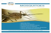 Mosquitoes - Rosemead School District · tips found in this brochure, you can reduce your risk and protect your family from mosquito-transmitted disease. Mosquitoes can transmit a