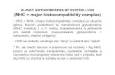HLAVNÝ HISTOKOMPATIBILNÝ SYSTÉM = HHS (MHC = major ... · PDF file HLAVNÝ HISTOKOMPATIBILNÝ SYSTÉM = HHS (MHC = major histocompatibility complex) - HHS = MHC (major histocompatibility