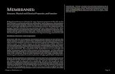 Membranes - City Tech OpenLabJun 17, 2019  · Chapter 4, Membranes, v. 1.2 Page 36 Membranes: Structure, Physical and Chemical Properties, and Function Biological membranes are the