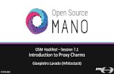 Introduction to Proxy Charms OSM Hackfest – Session 7.1 ...osm-download.etsi.org/ftp/osm-6.0-six/8th-hackfest... · © ETSI 2019 OSM Hackfest – Session 7.1 Introduction to Proxy