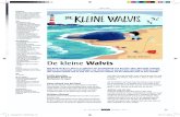 De kleine Walvis - Gehrels online · Maak een oceandrum door zaden of kralen in een trommel te leggen. De kleine Walvis Het boek DE KLEINE WALVIS is gekozen als prentenboek van het