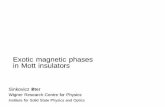Exotic magnetic phases in Mott insulatorsoptics.szfki.kfki.hu/~psinko/web/files/publications/Exotic_magnets.pdf · Motivation Heisenberg model Spin liquid on a honeycomb lattice Ordered