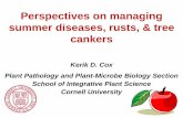 Perspectives on managing summer diseases, rusts, & tree ...s3-us-west-2.amazonaws.com/treefruit.wsu.edu/wp-content/...Perspectives on managing summer diseases, rusts, & tree cankers