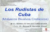 Los Rudistas de Cuba - Red Cubana de la Ciencia de... · 2018. 11. 17. · MINISTERIO DE EDUCACION SUPERIOR INSTITUTO SUPERIOR POLITECNICO “JOSE A. ECHEVARRIA” Facultad de Ingeniería