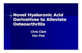 Novel Hyaluronic Acid Derivatives to Alleviate Osteoarthritis · Osteoarthritis – General Facts Over 23 million Americans affected Most common in people 65+ Anyone susceptible –Impact