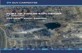 PORT OF TIANJIN EXPLOSIONS - fokus GEFAHRGUT of Tianjin Explosions.pdf · Carpenter presents this report as a framework for understanding the number of complicated issues involving