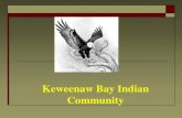 Keweenaw Bay Indian Community - USGSmn.water.usgs.gov/projects/tesnar/2011/Presentations...Environmental Mining Specialist Keweenaw Bay Indian Community Presentation Overview Basic