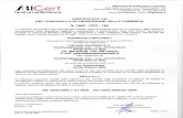 MCert - Gruppo Marinelli Salerno marcatura CE.../MCert ABICert Ente di Certificazione e Ispezione Sede Legale: Via Roma 11 2 - 66010 Miglianico (CH) Sede operativa: Zona Industriale
