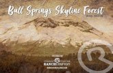 Bull Springs Skyline Forest - LoopNet · Mt. Bachelor, known for an extended ski season, is located within 15 miles of the property. The Deschutes River also is within a few minutes