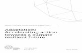WORKING PAPERS Adaptation: Accelerating action towards a ... · contribution to adaptation knowledge, from the perspective of climate financing. It provides an overview of adaptation