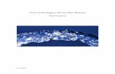 Plan Hidrológico de les Illes Balears Normativa€¦ · Artículo 77 Objetivos en materia de saneamiento y depuración de aguas residuales Artículo 78 Requisitos en materia de saneamiento