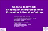 Silos to Teamwork: Shaping an Interprofessional Education ...ohnep.org/sites/ohnep/files/Silos to Teamwork.pdf• Students work in interprofessional teams on a student selected and