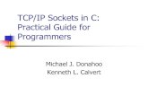 TCP/IP Sockets in C: Practical Guide for Programmersjmarty/courses/Fall...TCP Client/Server Interaction Client 1. Create a TCP socket 2. Establish connection 3. Communicate 4. Close