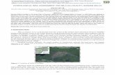 HYDROLOGICAL RISK ASSESSMENT FOR MILA 23 LOCALITY, DANUBE … · Danube Delta is located in the South East of Romania, being one of the largest deltas in Europe. In 1992 Delta was