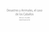 Desastres y Animales, el caso de los Caballos€¦ · Desastres y Animales, el caso de los Caballos MVZ Cert. M en MVZ Gabriel Rueda Carrillo