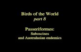 A Sampling of the Birds of the Worldlahtibirds.qwriting.qc.cuny.edu/files/2016/02/BoW...helmeted honeyeater (Passeriformes: Meliphagidae) rufous bristlebird (Passeriformes: Dasyornithidae)