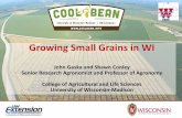 Growing Small Grains in WI - Red Robin Seeds - Red Robin Seeds€¦ · Small Grain Production in Wisconsin Keys to Success • Variety selection: please see the UW Performance Tests