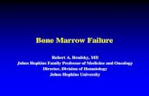 Bone Marrow Failure - Cancer Medicine & Hematology · Bone Marrow Failure Robert A. Brodsky, MD Johns Hopkins Family Professor of Medicine and Oncology. Director, Division of Hematology