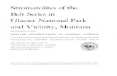Stromatolites of the Belt Series in Glacier National Park ...Glacier National Park and Vicinity, Montana . By . RICHARD REZAK . SHORTER CONTRIBUTIONS TO GENERAL GEOLOGY . GEOLOGICAL