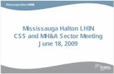 Mississauga Halton LHIN CSS and MH&A Sector Meeting June .../media/sites/mh... · 2009. Project Plan, Commun. & CE Plans Environmental Scan & Progress Report Draft IHSP Final IHSP