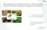 Disponibilidade de Matérias Primas e Oportunidades de ... · Disponibilidade de Matérias Primas e Oportunidades de Diversificação da Matriz Energética do Biodiesel Durante os