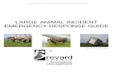 LARGE ANIMAL INCIDENT EMERGENCY RESPONSE GUIDEflsartt.ifas.ufl.edu/resource/TLAER/TLAER.pdf · Trailer Accidents . Section 6 ... Livestock Injury and Pain Analysis . ... Avoid shining