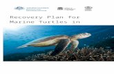 Recovery Plan for Marine Turtles in Australia€¦  · Web viewThe Recovery Plan for Marine Turtles in Australia is licensed by the Commonwealth of Australia for use under a Creative