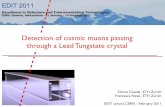Detection of cosmic muons passing through a Lead Tungstate ... · LYSO intrinsic radioactivity: 10 ns / div 10 mV / div 10 ns / div 100 mV / div PMT Hamamatsu Photonics K.K., Model