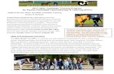 2017 HEAL Facilitator Training Program for Equine-Facilitated …humanequinealliance.com/wp-content/uploads/2016/08/2017... · 2016. 8. 11. · works as effectively in both non-riding