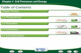 Chapter 4 Cell Processes and Energy€¦ · Chapter 4 Cell Processes and Energy Prefix Meaning Example Word cytokinesis During cell division, the process in which a cell’s cytoplasm