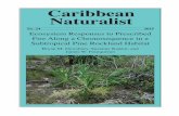 Caribbean Naturalist - Florida International Universityserc.fiu.edu/seagrass/pubs/2015_DewsburyEtAl.pdf · 1 20152015 CARIBBEAN NATURALIST No. 24:1–12 24 Ecosystem Responses to