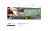 Rapid Macrophyte Habitat Assessment Methodology · Macrophyte data are recorded at individual sample points stratified by lake depth and lying along transects perpendicular from shore.