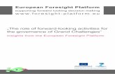 supporting forward looking decision making …projects.mcrit.com/esponfutures/documents/European... · 2017. 5. 26. · European Foresight Platform. supporting forward looking decision