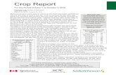 Crop Report #24 - October 1 to 7, 2019 - complete · PDF file moisture is rated as 14 per cent surplus, 82 per cent adequate, three per cent short and one per cent very short. Crop