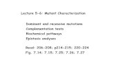 Lecture 5-6: Mutant Characterization Dominant and ...Lecture 5-6: Mutant Characterization Dominant and recessive mutations Complementation tests Biochemical pathways Epistasis analyses