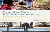 Drumlin Farm Wildlife Sanctuary - Mass Audubon...Meet baby lambs, watch traditional sheep-shearing by hand, and visit our Sheep-to-Sweater interpretive trail to learn about wool washing,