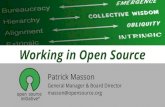 Working in Open Sourcesweiss/course... · Plone Python Software Foundation Software Freedom Conservancy The Perl Foundation Wikimedia Foundation Wordpress Foundation. Helping organizations