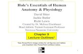 Anatomy & Physiology...Hole’s Essentials of Human Anatomy & Physiology David Shier Jackie Butler Ricki Lewis Created by Dr. Melissa Eisenhauer Head Athletic Trainer/Assistant Professor