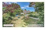 BLACKBIRD COTTAGE€¦ · blackbird cottage, 134 upper clatford, andover, hampshire sp11 7ps a picturesque detached grade ii listed period cottage situated in a delightful garden