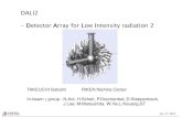 DALI2 - Detector Array for Low Intensity radiation 2...Jan. 11, 2011 DALI2 - Detector Array for Low Intensity radiation 2 TAKEUCHI Satoshi RIKEN Nishina Center In-beam ggroup : N.Aoi,