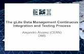 The gLite Data Management Continuous Integration and ...€¦ · DM Continuous Integration and Testing Process 3 Introduction As in any other software product, developers change code